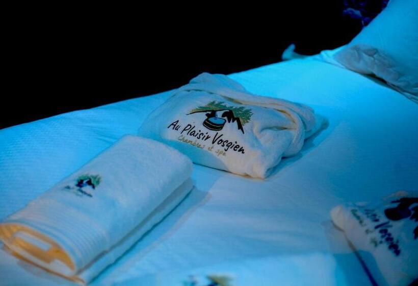 בית מלון כפרי Au Plaisir Vosgien