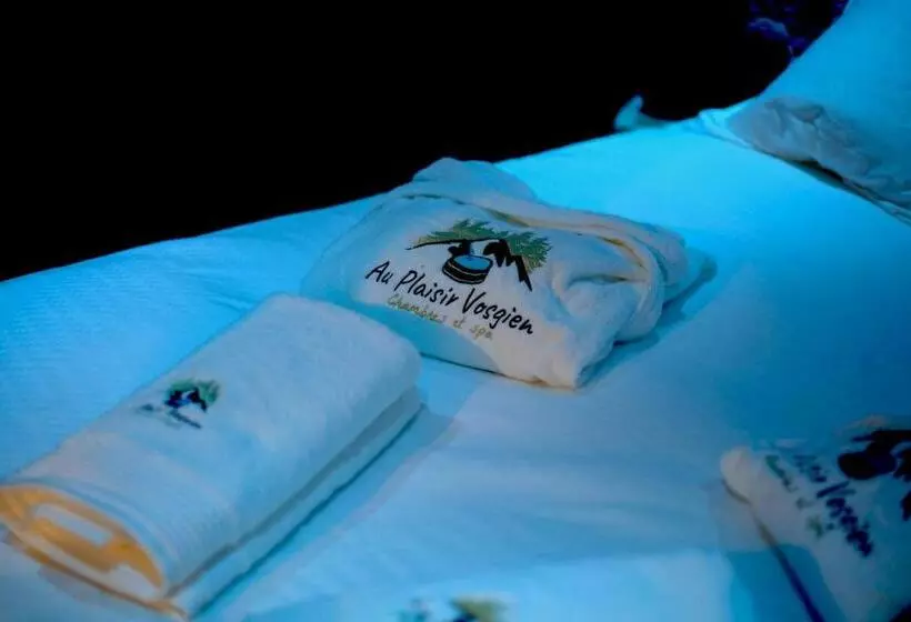 Hotelli Au Plaisir Vosgien