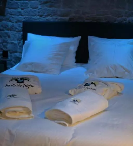 Hotelli Au Plaisir Vosgien