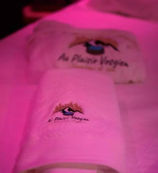 Hotelli Au Plaisir Vosgien