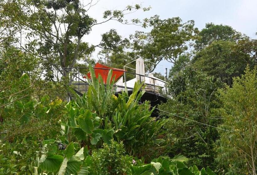 Hotel Glamping La Cristalina