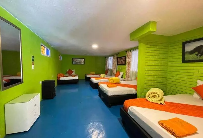 ホテル Glamping La Cristalina