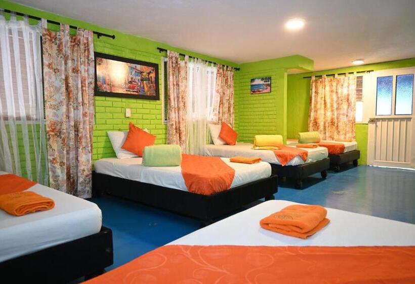 Hotel Glamping La Cristalina