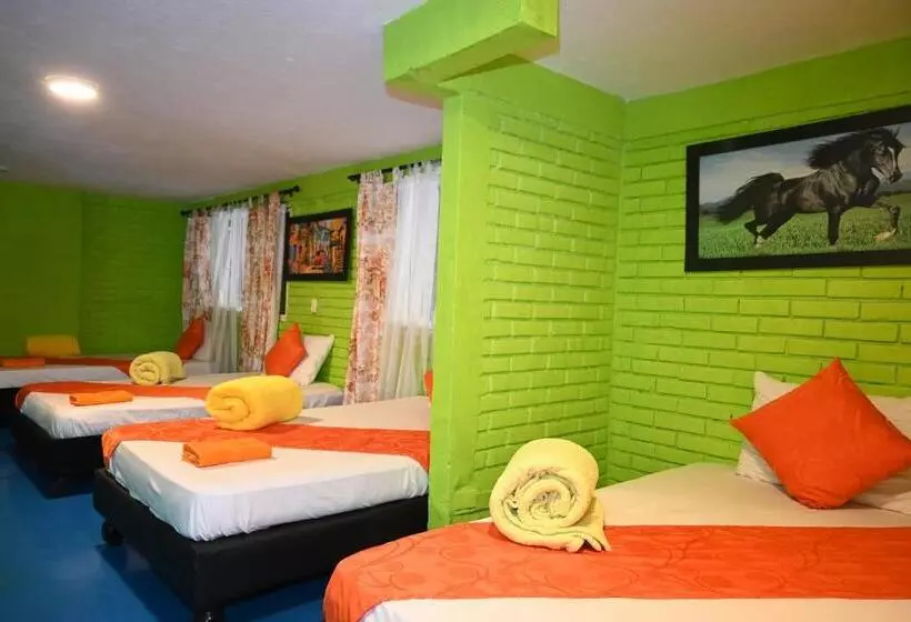ホテル Glamping La Cristalina