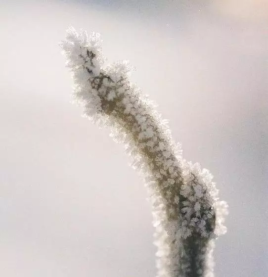 Hotelli Pension Folklore