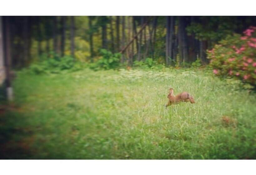 פנסיון Amanohashidate Youth Hostel Vacation Stay 94805v