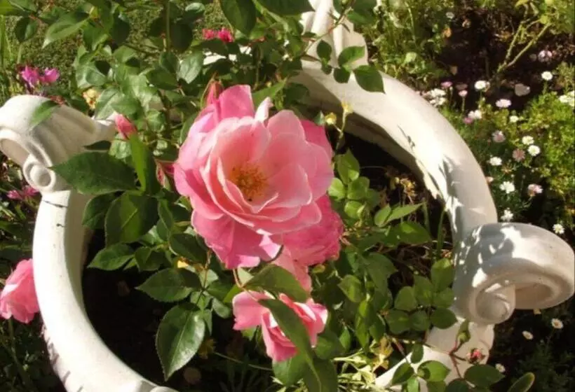 Majatalo Corner House Accommodation