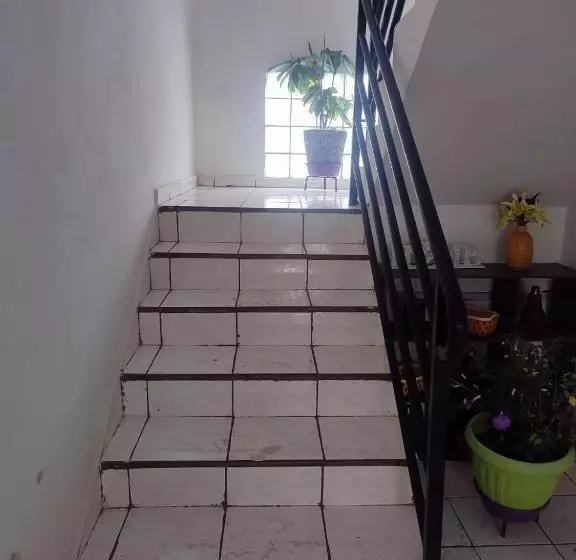 پانسیون Villa Saphira