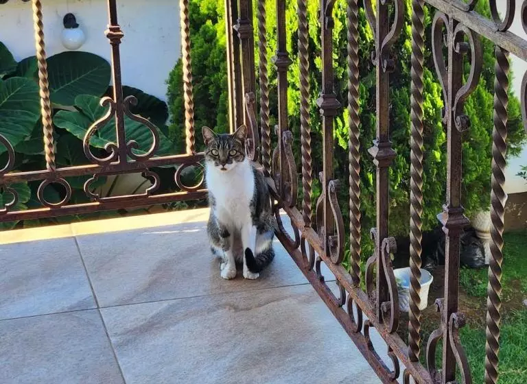 Aamiaismajoitus (B&B) La Casa Baez