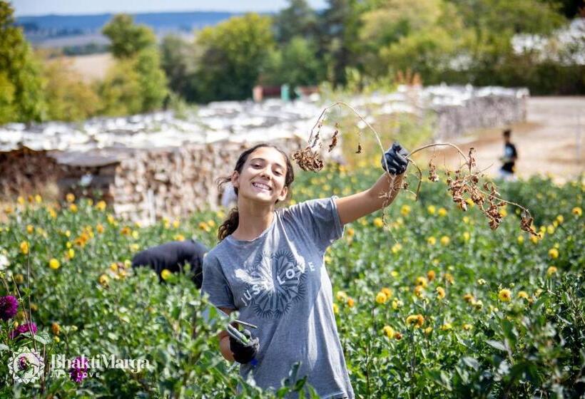 בית מלון כפרי Hindu Monastery Shree Peetha Nilaya Ashram