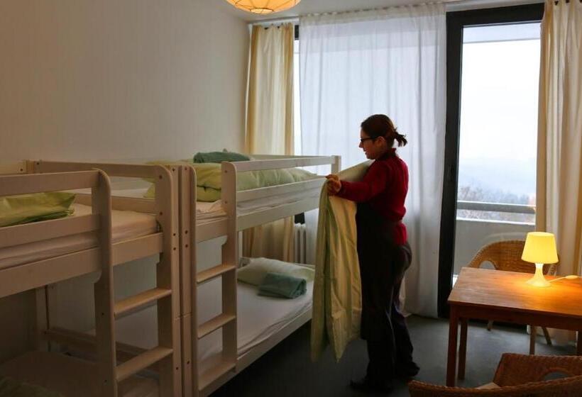 בית מלון כפרי Hindu Monastery Shree Peetha Nilaya Ashram