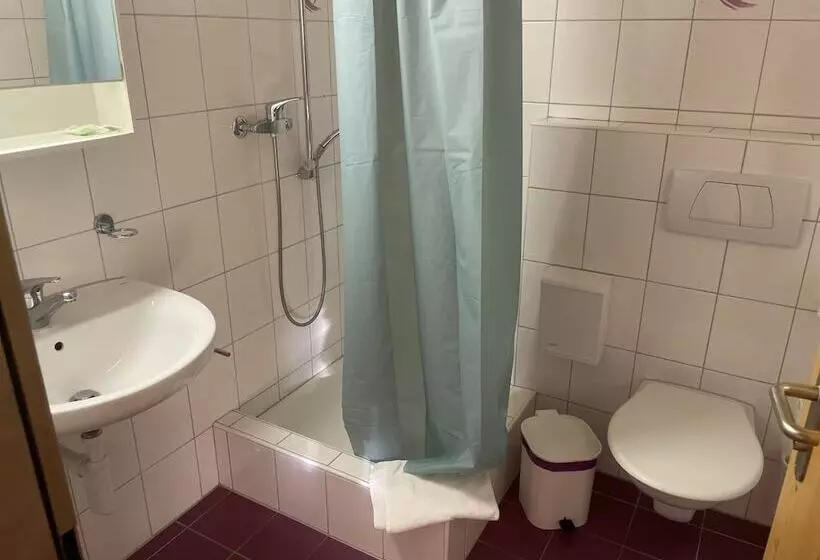 ホテル &restaurant Feldiserhof