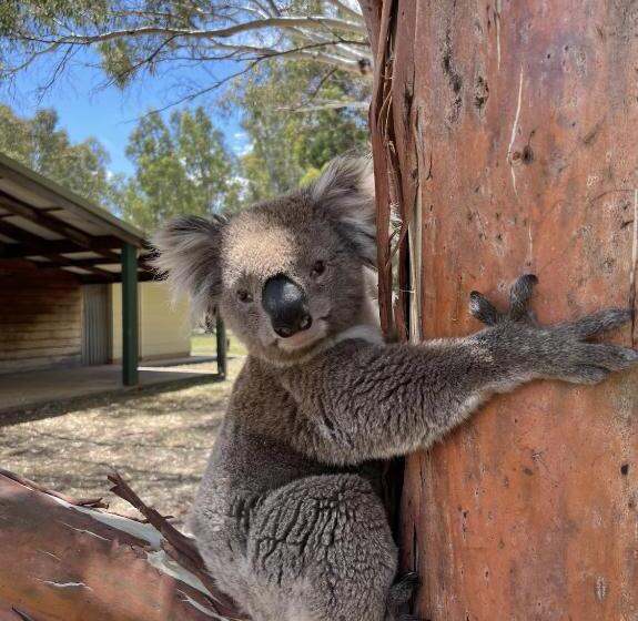 בית מלון כפרי The Paddock At Ulupna