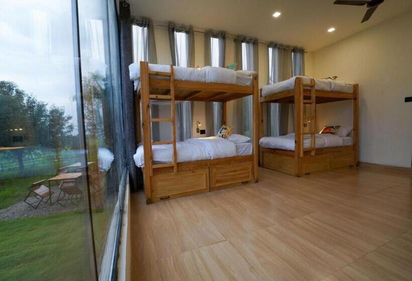 Hotel The Solace Bir