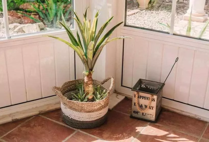 ペンション Outeiro Do álamo Casa Paradise T3