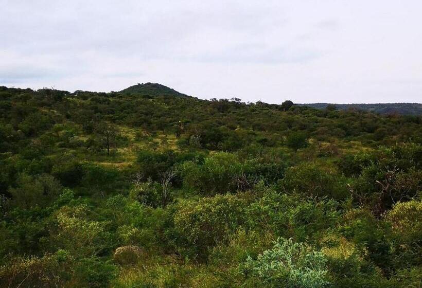 אתר נופש Kingdom Game Ranch