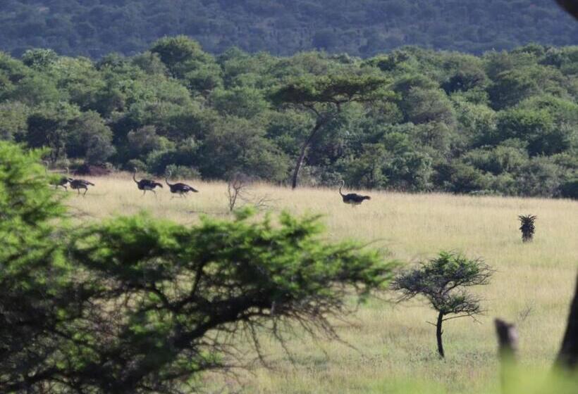 אתר נופש Kingdom Game Ranch