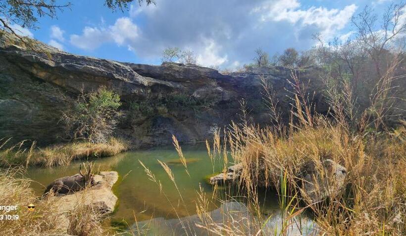 אתר נופש Kingdom Game Ranch