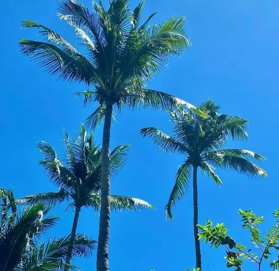 リゾートホテル Playa La Caleta Bataan