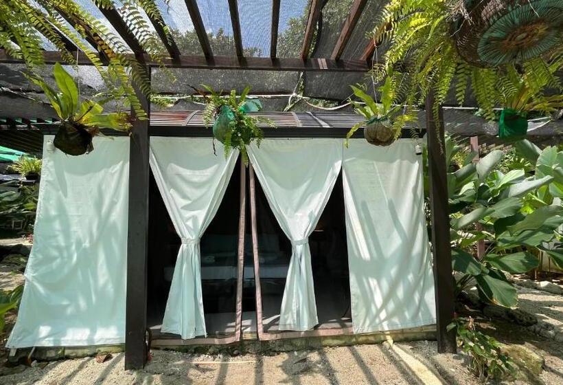 Kurort  Playa La Caleta Bataan