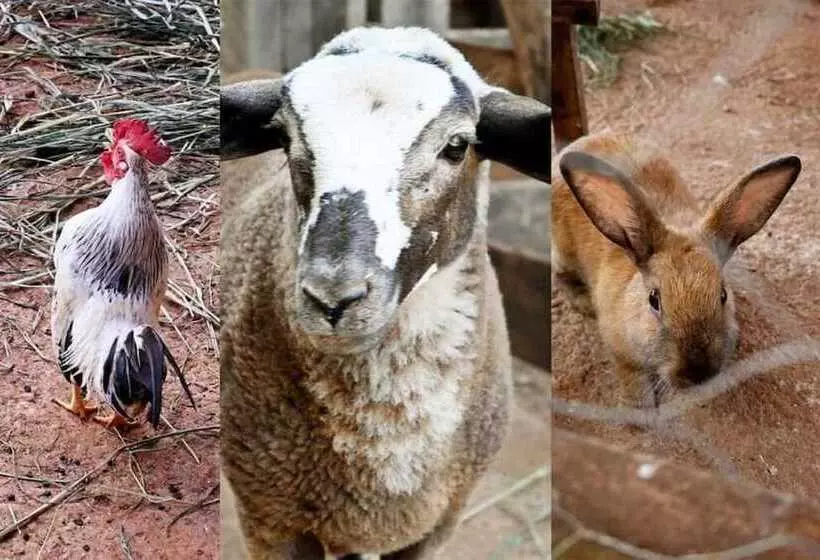 Botânico Hotel Fazenda E Spa