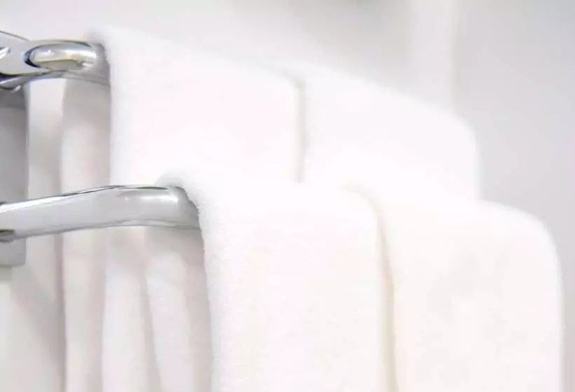 Business Hotel Mercury Royal Inn Group