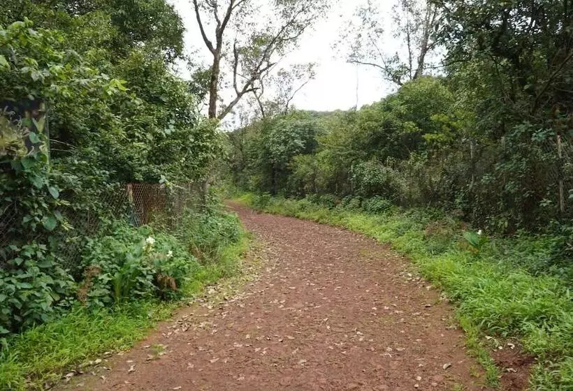 ホテル Ashok Villa Resort