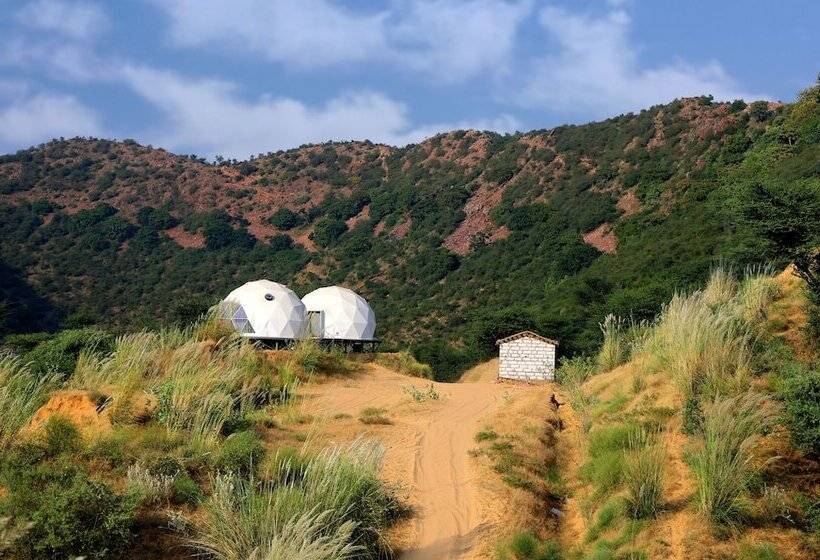 בית מלון כפרי Teela The Glamping Resort