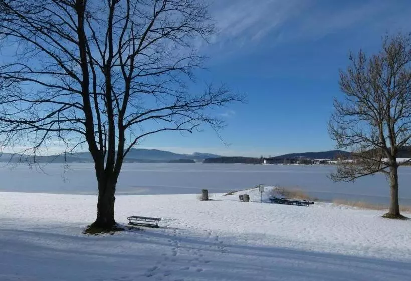 Majatalo Penzion Malé Lipno