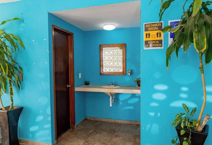 فندق Laurel Cancún Centro