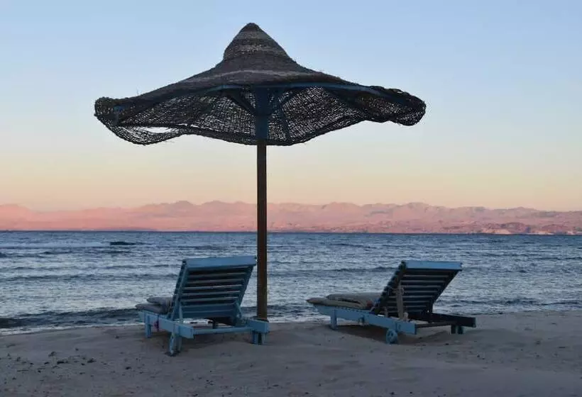 هتل Shanty Camp