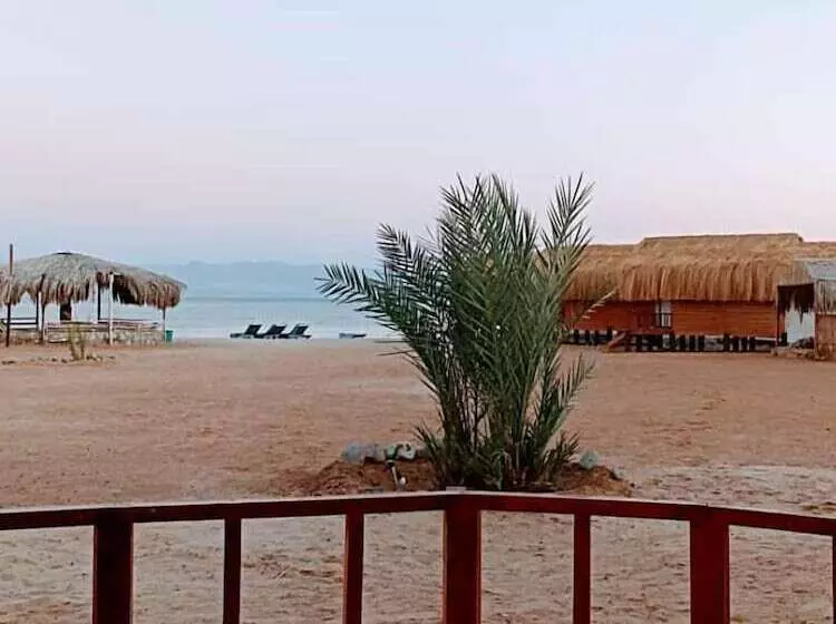 هتل Shanty Camp