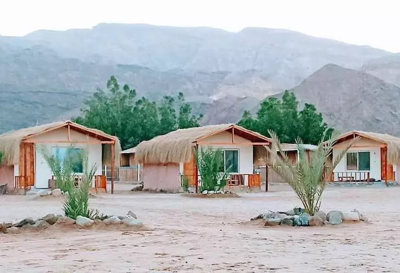 هتل Shanty Camp