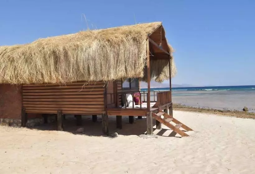 هتل Shanty Camp