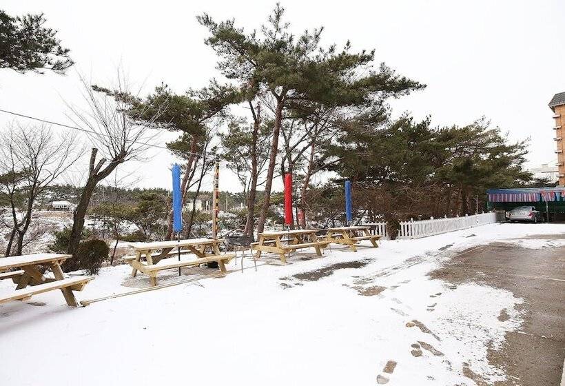 Мотель Anmyeondo Haesong