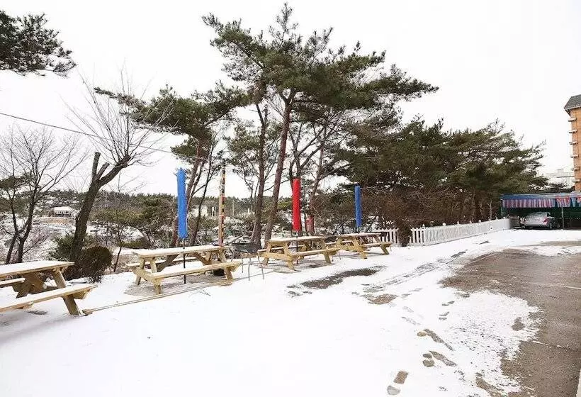 モーテル Anmyeondo Haesong