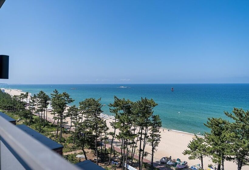 汽车旅馆 Gangneung Brown Dot Gangneung Gyeongpo