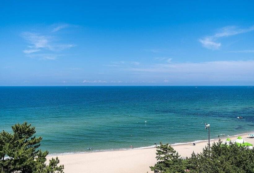 汽车旅馆 Gangneung Brown Dot Gangneung Gyeongpo