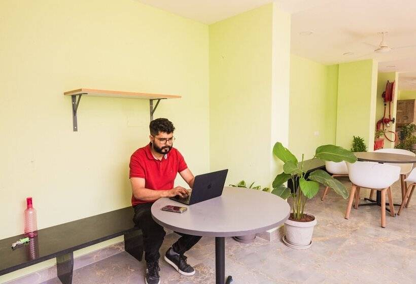 هاستل Covie Karle Town 220