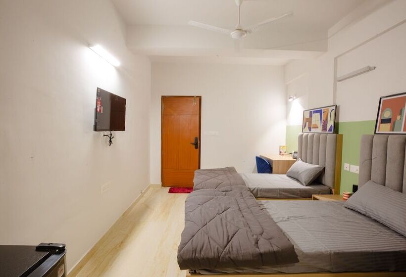 هاستل Covie Karle Town 220