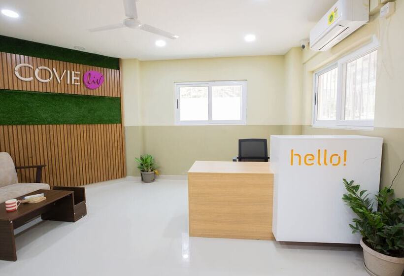 هاستل Covie Karle Town 220