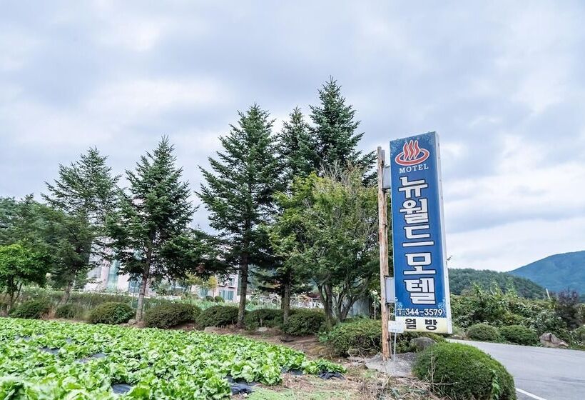 Hoengseong New World Motel