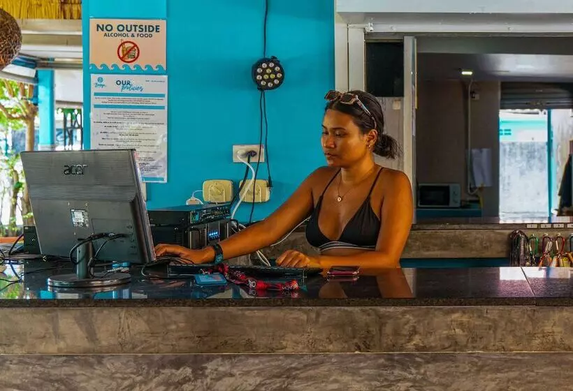 ホテル Bodega Pool Party Koh Phangan