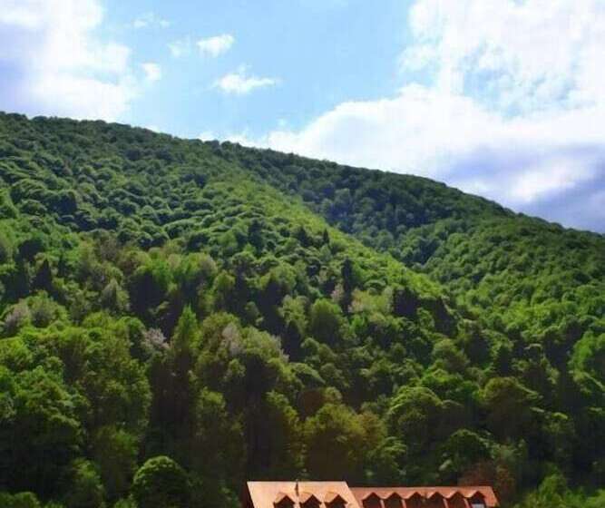 호텔 Pensiunea Mai