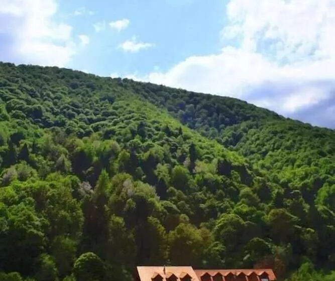 ホテル Pensiunea Mai