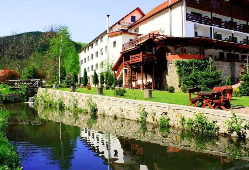 호텔 Pensiunea Mai