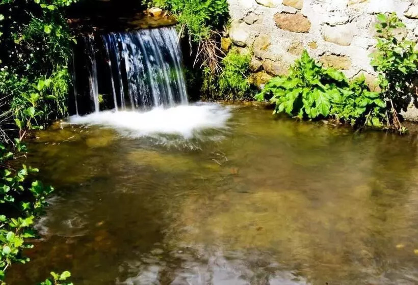 ホテル Pensiunea Mai