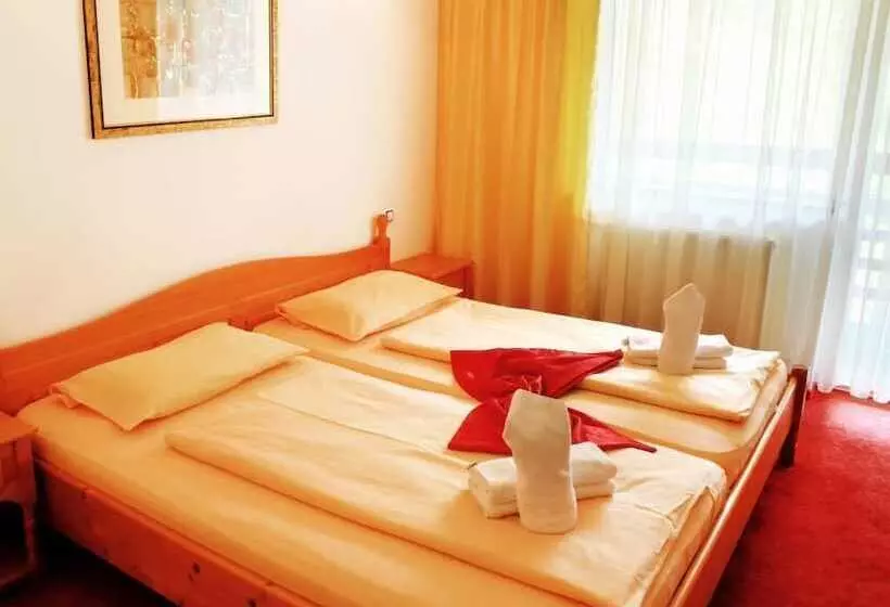 ホテル Pensiunea Mai