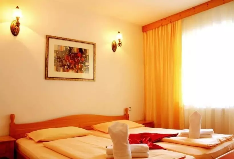 ホテル Pensiunea Mai