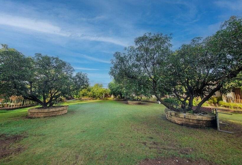 Курорт Kings Kraft Pinewood Ssan Gir